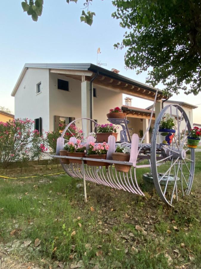 La Casa Di Bruno Apartment Piove di Sacco Exterior foto